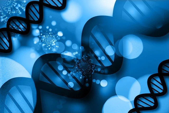 高效聚氨酯硬泡催化劑，確保泡沫快速固化，具有高閉孔率和優(yōu)異的保溫性能